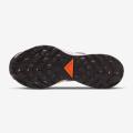 Мужские кроссовки Nike Pegasus Trail 3 GTX - DR0137-200