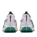 Мужские кроссовки Nike Pegasus Trail 5 - DV3864-100