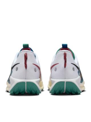 Мужские кроссовки Nike Pegasus Trail 5 - DV3864-100