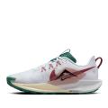 Мужские кроссовки Nike Pegasus Trail 5 - DV3864-100
