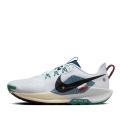 Мужские кроссовки Nike Pegasus Trail 5 - DV3864-100