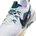 Мужские кроссовки Nike Pegasus Trail 5 - DV3864-100