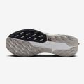 Мужские кроссовки Nike Pegasus Trail 5 - DV3864-200