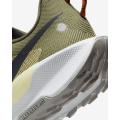 Мужские кроссовки Nike Pegasus Trail 5 - DV3864-200