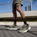 Мужские кроссовки Nike Pegasus Trail 5 - DV3864-200