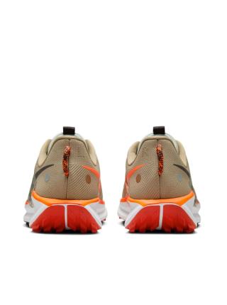 Мужские кроссовки Nike Pegasus Trail 5 - DV3864-201