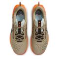 Мужские кроссовки Nike Pegasus Trail 5 - DV3864-201