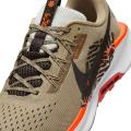 Мужские кроссовки Nike Pegasus Trail 5 - DV3864-201