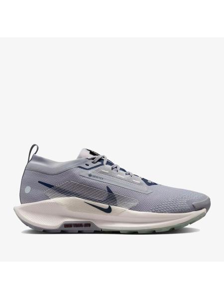 Мужские кроссовки Nike Pegasus Trail 5 GTX - FQ0908-006