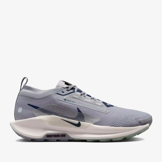 Мужские кроссовки Nike Pegasus Trail 5 GTX - FQ0908-006