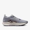 Мужские кроссовки Nike Pegasus Trail 5 GTX - FQ0908-006