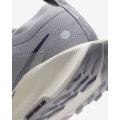 Мужские кроссовки Nike Pegasus Trail 5 GTX - FQ0908-006