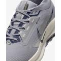 Мужские кроссовки Nike Pegasus Trail 5 GTX - FQ0908-006