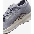 Мужские кроссовки Nike Pegasus Trail 5 GTX - FQ0908-006