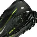 Мужские кроссовки Nike Pegasus Trail 5 GTX - FQ0908-014