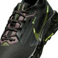 Мужские кроссовки Nike Pegasus Trail 5 GTX - FQ0908-014
