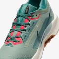 Мужские кроссовки Nike Pegasus Trail 5 GTX - FQ0908-300