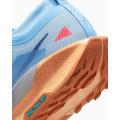 Мужские кроссовки Nike Pegasus Trail 5 GTX - FQ0908-400