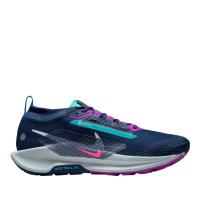 Мужские кроссовки Nike Pegasus Trail 5 GTX - FQ0908-403