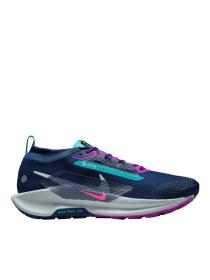 Мужские кроссовки Nike Pegasus Trail 5 GTX - FQ0908-403