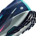 Мужские кроссовки Nike Pegasus Trail 5 GTX - FQ0908-403