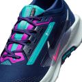 Мужские кроссовки Nike Pegasus Trail 5 GTX - FQ0908-403