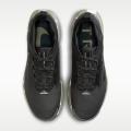Мужские кроссовки Nike Pegasus Trail 5 GTX - IM6007-060