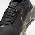 Мужские кроссовки Nike Pegasus Trail 5 GTX - IM6007-060