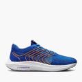 Мужские кроссовки Nike Pegasus Turbo Next Nature - FD0717-400