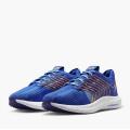 Мужские кроссовки Nike Pegasus Turbo Next Nature - FD0717-400