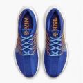 Мужские кроссовки Nike Pegasus Turbo Next Nature - FD0717-400