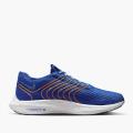 Мужские кроссовки Nike Pegasus Turbo Next Nature - FD0717-400