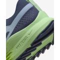Мужские кроссовки Nike React Pegasus Trail 4 - DJ6158-403