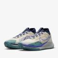 Мужские кроссовки Nike React Pegasus Trail 4 GTX - DJ7926-100