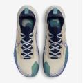 Мужские кроссовки Nike React Pegasus Trail 4 GTX - DJ7926-100