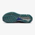 Мужские кроссовки Nike React Pegasus Trail 4 GTX - DJ7926-100