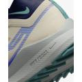 Мужские кроссовки Nike React Pegasus Trail 4 GTX - DJ7926-100