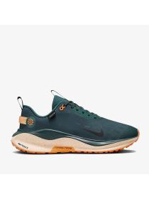 Мужские кроссовки Nike ReactX Infinity RN 4 GTX - FB2204-300
