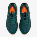 Мужские кроссовки Nike ReactX Infinity RN 4 GTX - FB2204-300