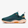 Мужские кроссовки Nike ReactX Infinity RN 4 GTX - FB2204-300