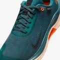 Мужские кроссовки Nike ReactX Infinity RN 4 GTX - FB2204-300
