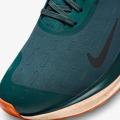 Мужские кроссовки Nike ReactX Infinity RN 4 GTX - FB2204-300