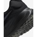Мужские кроссовки Nike Revolution 7 - FB2207-005