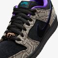 Мужские кроссовки Nike SB Dunk Low Dashawn Jordan - IB6208-200