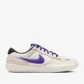 Мужские кроссовки Nike SB Force 58 - DV5477-006