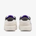 Мужские кроссовки Nike SB Force 58 - DV5477-006
