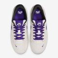 Мужские кроссовки Nike SB Force 58 - DV5477-006