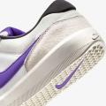 Мужские кроссовки Nike SB Force 58 - DV5477-006