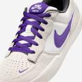 Мужские кроссовки Nike SB Force 58 - DV5477-006