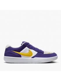 Мужские кроссовки Nike SB Force 58 - DV5477-500